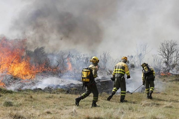 Incendios forestales