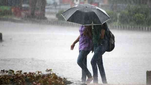 Luvias.