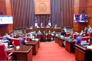 Senado y Cámara de Diputados rinden cuentas de forma conjunta por primera vez