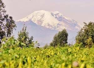 Camino de los Andes", el primer corredor turí­stico por los Andes de Ecuador