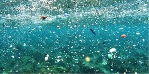 Los microplásticos en los fondos marinos se han triplicado en veinte años