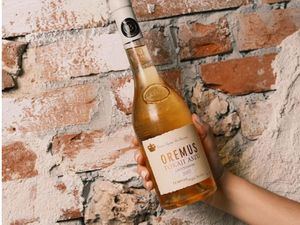 Tempos Vega Sicilia y La Bodega Manuel González Cuesta protagonizan elegante cata de Macán y Oremus en Verema23