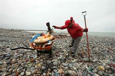 Latinoamérica celebrará el Día Mundial del Medio Ambiente con una limpieza en las playas