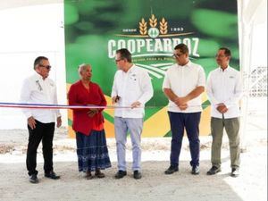 COOPEARROZ inicia producción de energía eléctrica a partir del sol