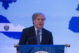 El secretario de la OEA y expresidentes llaman a la renovación de los partidos