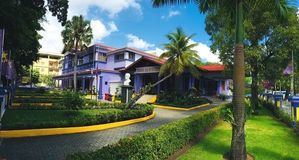 PLD denuncia falta de planificación del Gobierno ante crisis del pollo y aumento de precios