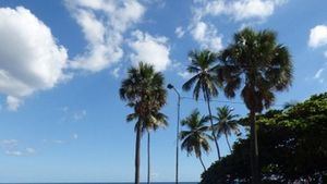 Lluvias disminuirán y seguirá el calor.