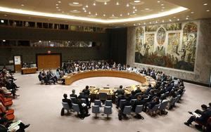 República Dominicana se convierte hoy en miembro del Consejo de Seguridad 