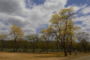 Sector agropecuario pedir&#225; que se declare la emergencia por sequ&#237;a 