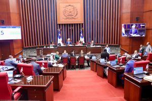 El Senado aprueba medidas económicas del Gobierno que pasan ahora a la Cámara de Diputados