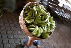 Panam&#225; reactiva la producci&#243;n bananera con el env&#237;o del primer embarque a EE.UU. 