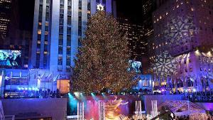 Llega a su destino el emblemático árbol de Navidad del Rockefeller Center