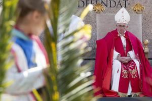 El papa cargó contra el triunfalismo en la misa del Domingo de Ramos