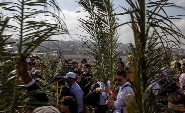 Los peregrinos llevan grandes hojas de palmera en el Monte de los Olivos durante el Domingo de Ramos en Jerusalén Este mientras recorren la ruta tomada por Jesucristo cuando entró alegremente en Jerusalén, marcando el inicio de la Semana Santa, en Jerusalén Oriental.