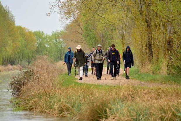 El rey Felipe de Bélgica recorre junto a sus hijos y un grupo de amigos el tramo del Camino de Santiago que coincide con el Canal de Castilla en Frómista 