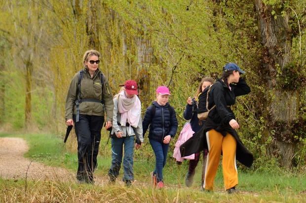 El rey Felipe de Bélgica recorre junto a sus hijos y un grupo de amigos el tramo del Camino de Santiago que coincide con el Canal de Castilla en Frómista 