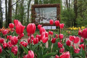 B&#233;lgica abraza la primavera con un mill&#243;n y medio de flores 