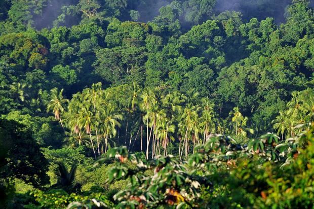 Vista de un sector del Parque Nacional Coiba un conjunto de islas de origen volcánico ubicadas en el Pacífico panameño.