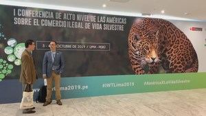 Desvelan los principales destinos del tráfico ilegal de fauna silvestre en América