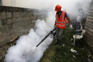 RD registró 12.777 casos de dengue desde principio de año