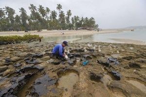 Brasil ha retirado 525 toneladas de residuos de petróleo en unas 200 playas
