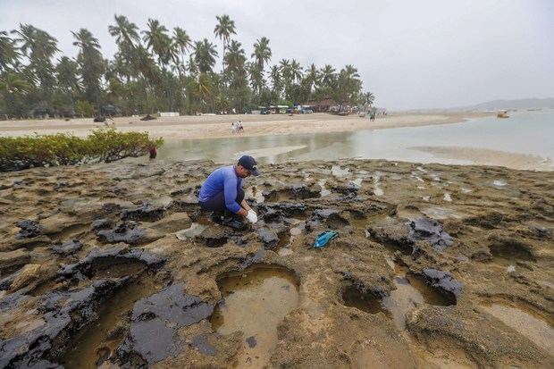 n hombre intenta limpiar las manchas de petróleo que contaminan la playa de Carneiros en el estado de Pernambuco (Brasil).