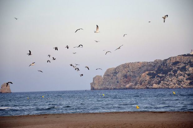 Más del 50 por ciento de la población mediterránea vive en zonas costeras y, sin embargo, en los últimos cien años se ha perdido más de la mitad de estos humedales por el turismo masivo, la urbanización descontrolada, el desarrollo industrial y la agricultura intensiva.