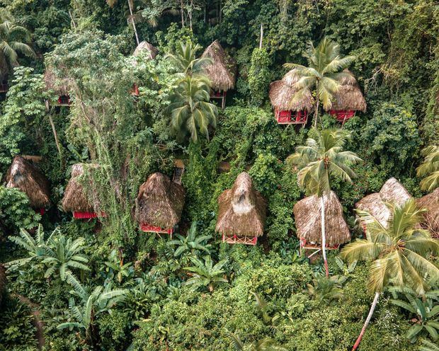 Dominican Tree House Village: El Paraíso Ecológico de Samaná con Gastronomía Artesanal 