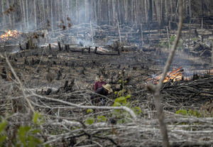 Personas prenden fuego en un área boscosa en el Amazonas (Brasil), en una fotografía de archivo.