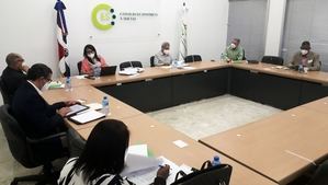 Comisión ejecutiva del CES se reunirá con el gabinete eléctrico del gobierno