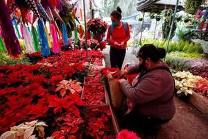 Vista general de la venta de flores para Nochebuena el 5 de diciembre de 2020, en un mercado de la alcaldía de Xochimilco, en Ciudad de México, México.
