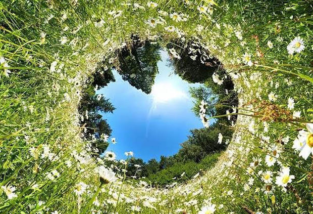 Apagamos hoy y seguimos combatiendo el cambio climático mañana