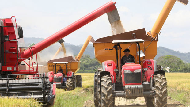 Presidente Abinader encabezará actos del Día del Agricultor.