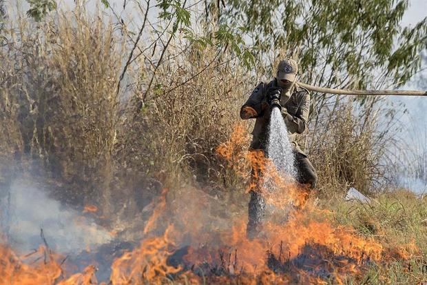 'La deforestación es la causa principal de las pérdidas de carbono en los bosques tropicales, pero no opera sola', indicó el estudio encabezado por Celso H.L. Silva, del Laboratorio de Ecosistemas Tropicales y Ciencias Ambientales en Sao Jose Dos Campos, Brasil.