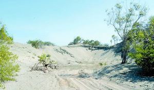 Academia de Ciencias reclama protección para el Monumento Natural Dunas de Baní