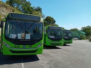 Autobuses OMSA circularán hasta las 7 de la noche desde este domingo