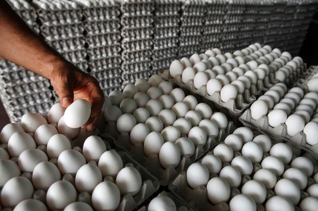 Fotografía de archivo en el que un hombre compra huevos en el mercado binacional que se celebra en la zona fronteriza dominico-haitiana de la provincia de Dajabón (noroeste de la República Dominicana).