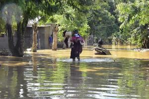 La crisis por Covid, Eta e Iota repercute en el ambiente navideño en Honduras