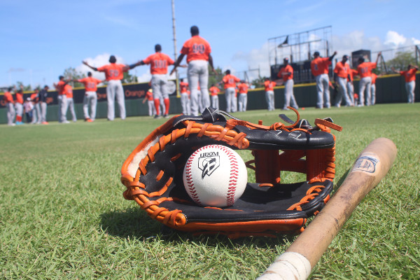 Toros del Este comienzan sus entrenamientos para la liga invernal.