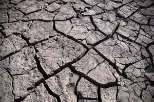 Expertos mundiales analizan en Madrid cómo afrontar desertificación y sequía.