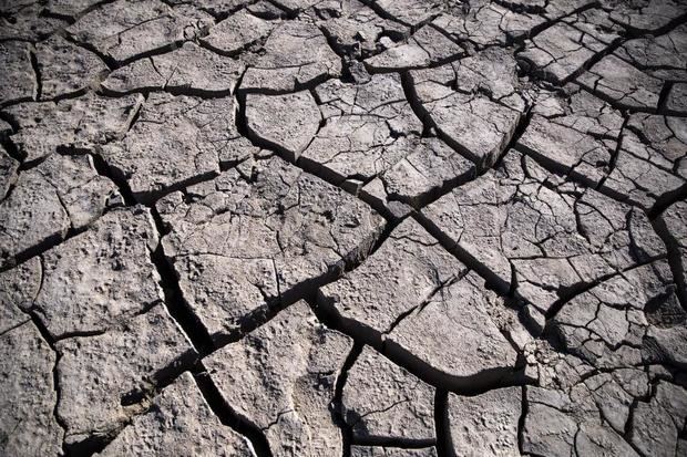 Expertos mundiales analizan en Madrid cómo afrontar desertificación y sequía