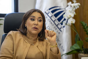Mayra Jiménez, ministra de la Mujer de República Dominicana, habla durante una entrevista con Efe en la víspera de la IV Conferencia Iberoamericana de Género, en Santo Domingo, R. Dominicana.