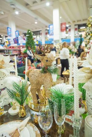 Plaza Lama recibe la magia de la Navidad