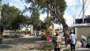 Medio Ambiente realiza labores de prevención ante huracán Irma 