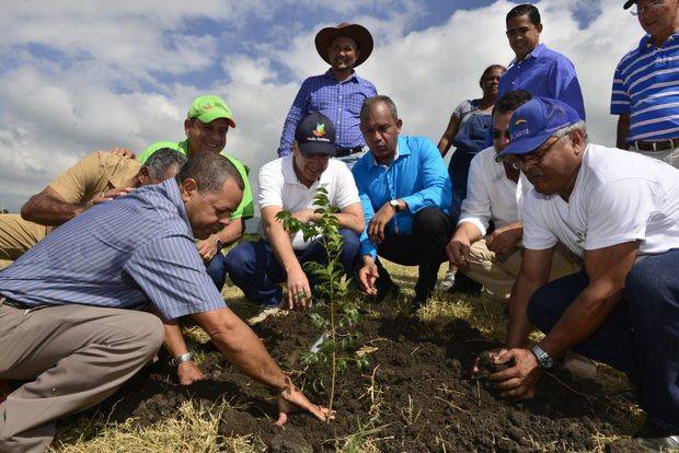 Durante el mes han sido celebradas cientos de jornadas de reforestación.