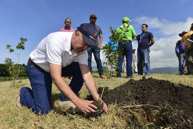 Francisco Domínguez Brito participa en una  jornada de reforestación