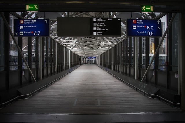 Indemnización por vuelo cancelado: ¿qué debe saber?