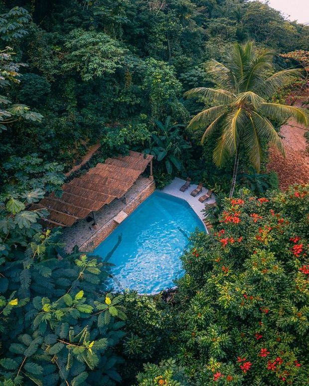 Dominican Tree House Village: El Paraíso Ecológico de Samaná con Gastronomía Artesanal 