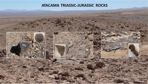 Imagen cedida por Guillermo Chong y Laura Sánchez-García de los afloramientos de carbonatos marinos del Triásico-Jurásico en el Desierto de Atacama (Chile).