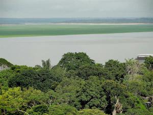 Francia financia proyecto para proteger millones de hectáreas en la Amazonía